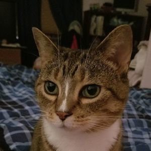 Meet your Posher, Sara